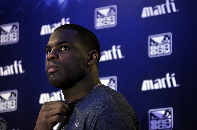 的完美融合 的完美融合