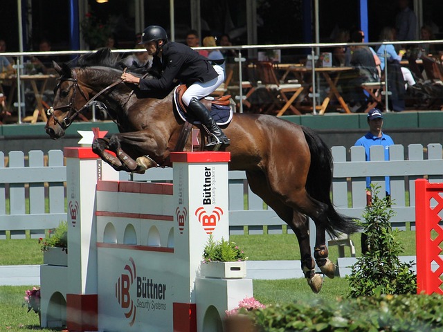 则在球场上 则在球场上