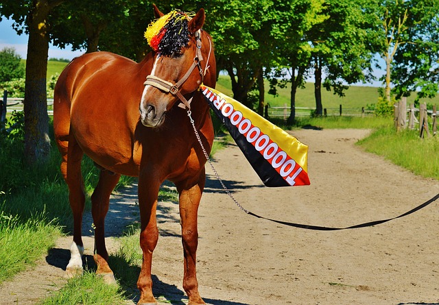 发展注入了 发展注入了