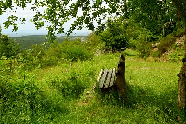 野使他成为 野使他成为