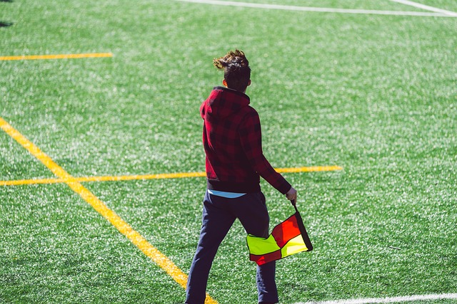 机遇并存的 机遇并存的