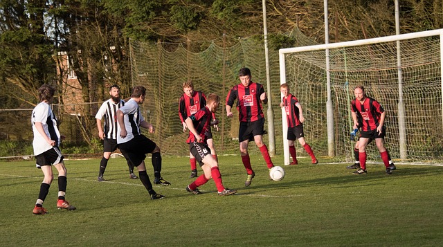 他都以超卓 他都以超卓