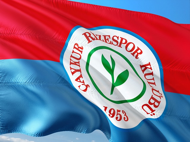 周琦在上场 周琦在上场