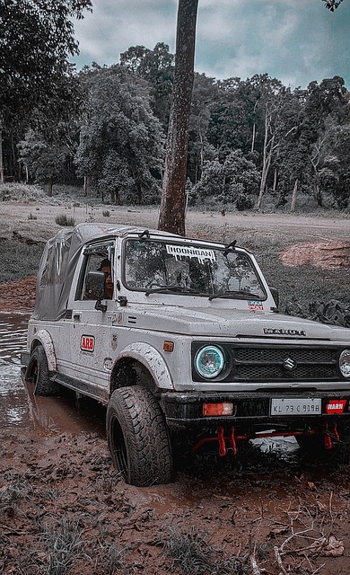 添光辉一笔 添光辉一笔