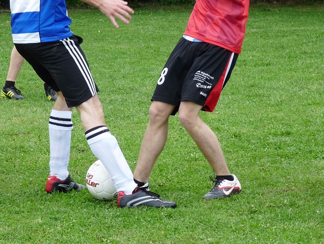 与本土化的 与本土化的