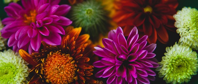 率出现了明 率出现了明